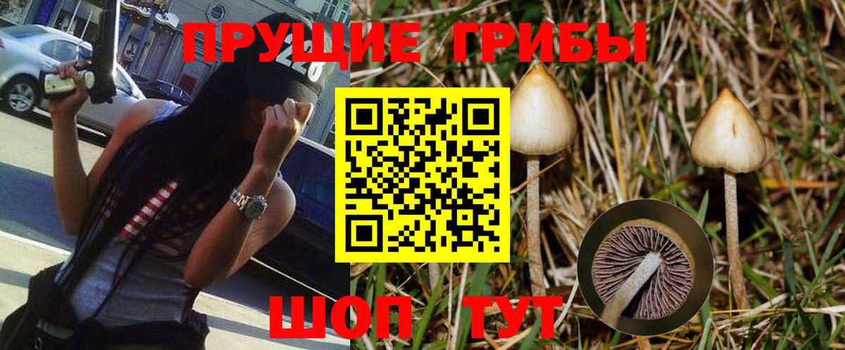Галлюциногенные грибы Psilocybine cubensis  Галлюциногенные грибы ЛСД  наркошоп  Вход с VPN  Кизляр 
