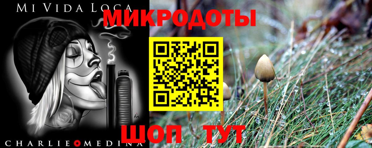 Галлюциногенные грибы прущие грибы Кизляр